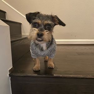 Meet your Posher, Lori